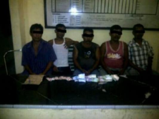 Bermain Kartu Domino, Lima Orang Warga Pujud Diciduk Polisi