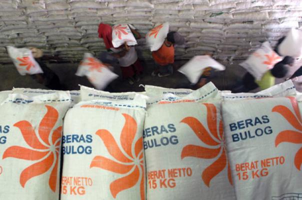 Bulog Kotabaru Serap 149 Ton Beras Lokal