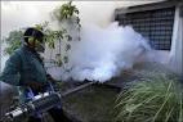 DBD Ancam Warga Pekanbaru, Diskes Diminta Lakukan Fogging