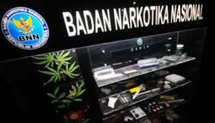 Darurat Narkoba, BNN Akan berada di Bawah Presiden Langsung