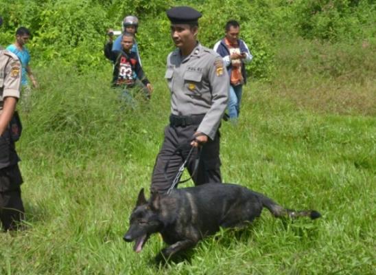 Pasca Pembobolan di Kantor KPU Binjai, Tim Poldasu Turunkan Anjing Pelacak