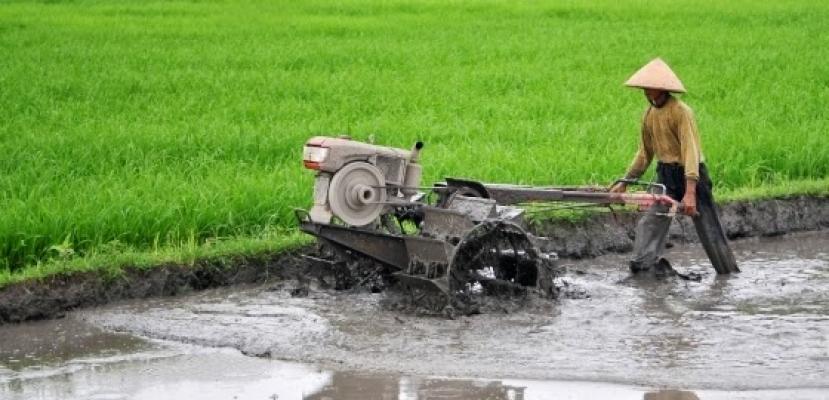 Pemerintah akan Rekrut 10 Ribu Penyuluh Pertanian