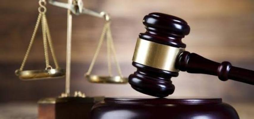 Curi Sebatang Kayu Jati, Petani Ini Dituntut Denda Setengah Miliar 