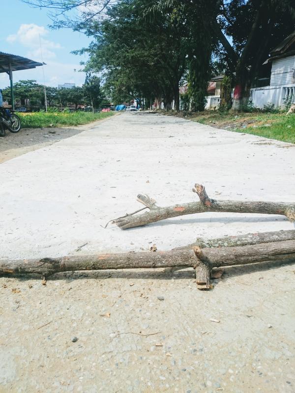 Diduga Proyek Siluman, Ini Penampakan Semenisasi Tanpa Plank di Belakang Kantor Kelurahan Bagan Batu Rohil