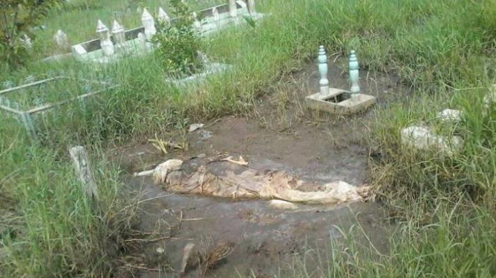 Mayat Masih Utuh dengan Kain Kafan Keluar dari Makam Bikin Geger