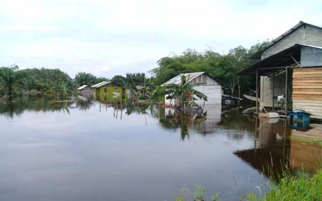 500 unit rumah warga di Desa Pekanheran Kabupaten Inhu Riau, kini terendam banjir