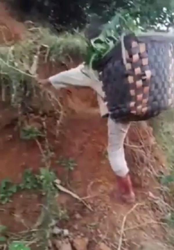 Kisah anak kecil yang mandiri  hidup sendirian di puncak Gunung