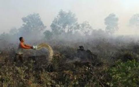 Tahun Depan Wajib buka Lahan Tampa Bakar (zero burning)