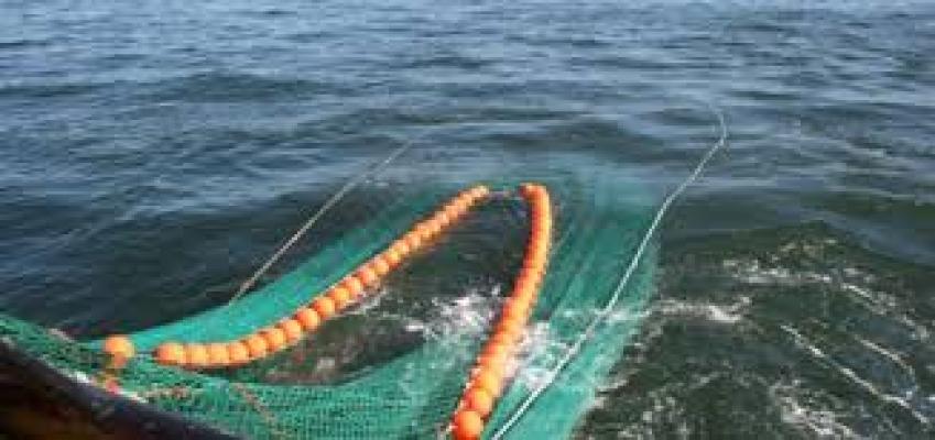 3 Nelayan Jabung Barat Ditahan Karena Kedapatan Menggunakan Jaring Trawl di Perairan Inhil