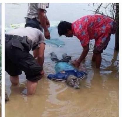 Buruh Muat Batu Tewas Terseret Arus di Sungai Kampar