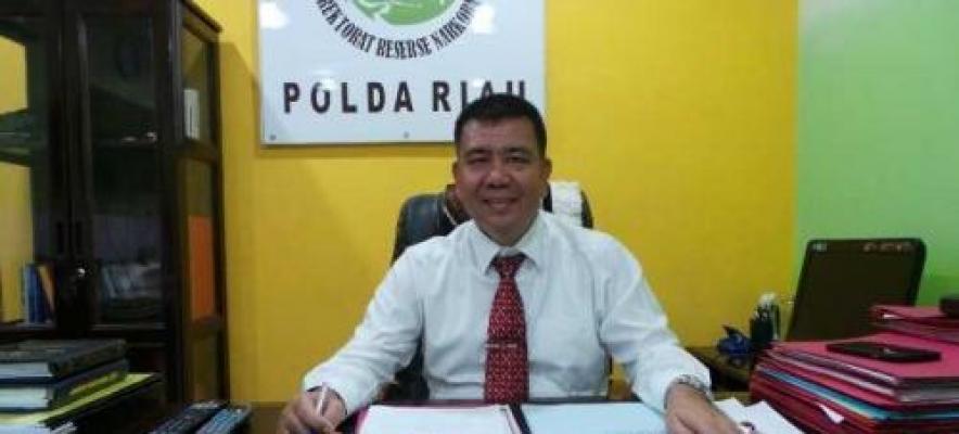 Diracik dari Bahan Berbahaya, Ekstasi Palsu Kini Marak Beredar di Pekanbaru