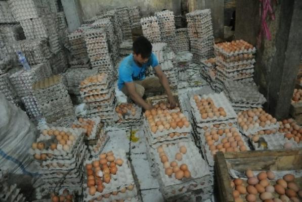 Harga Telur Melambung, Pasokan di Warung Kosong