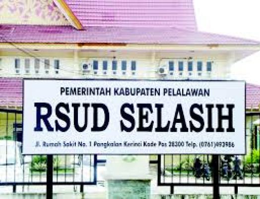 Jadi BLUD, PAD RSUD Selasih Capai Rp10 Miliar Per Tahun