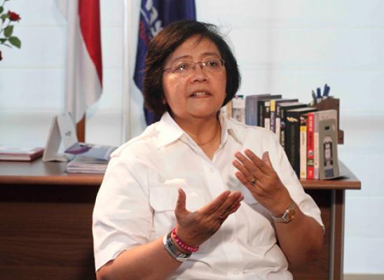 KTT PERUBAHAN IKLIM: Inilah 4 Prioritas Indonesia