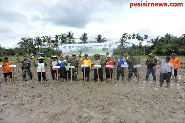 Kodim 0314/Inhil Tanam Padi Serentak