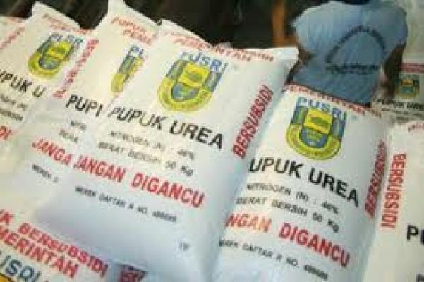 Miliki 13 Ton Pupuk Subsidi, Pria ini Digelandang ke Polres Rohul