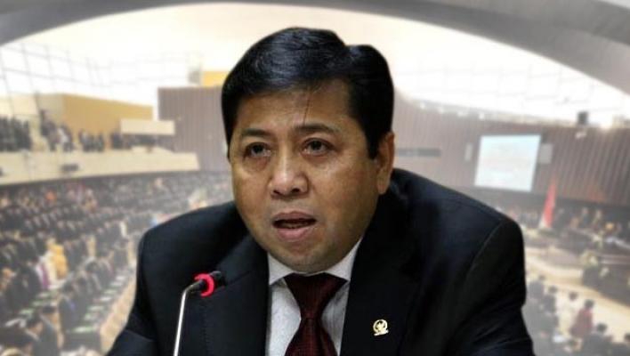 Novanto Jadi Ketua Fraksi, Poros Muda Golkar: Itu Merusak Citra Partai!