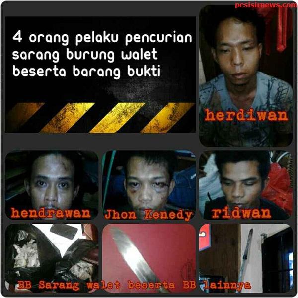Pencuri Sarang Burung Walet Ditangkap Polisi