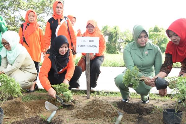 TP PKK Inhil Gelar Gerakan Perempuan Tanam Dan Pelihara Pohon