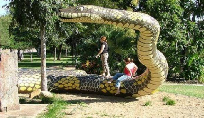 8 Fakta Mencengangkan Tentang Australia