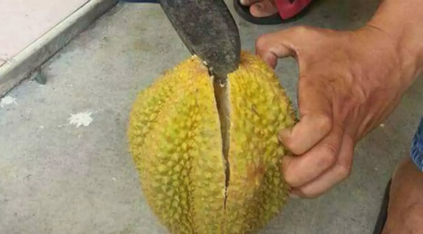 Beli Durian Seharga Rp 15 Ribu, Saat Dibelah Ternyata Isinya...