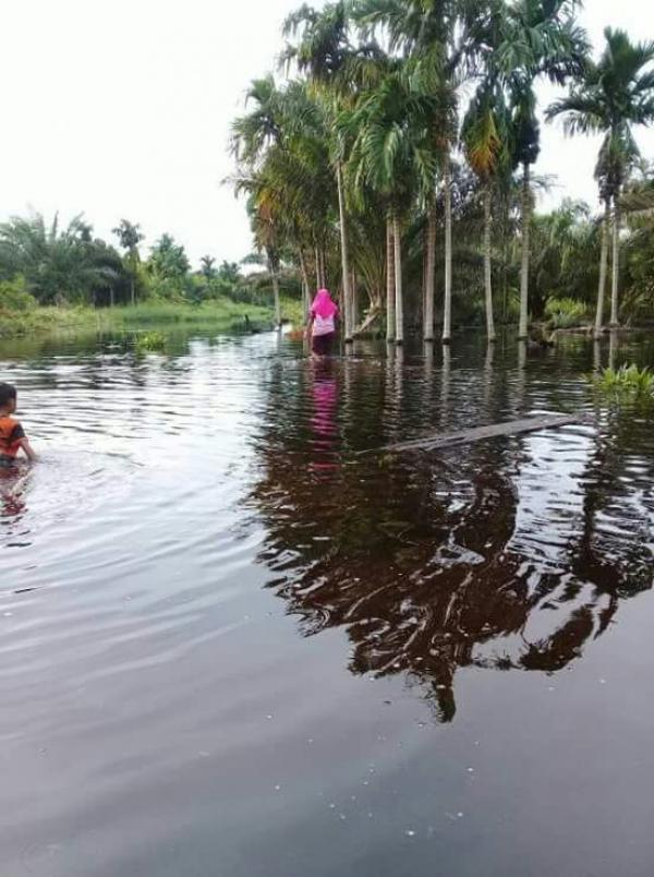 Bupati Inhil Instruksikan BPBD Berlakukan Siaga Banjir