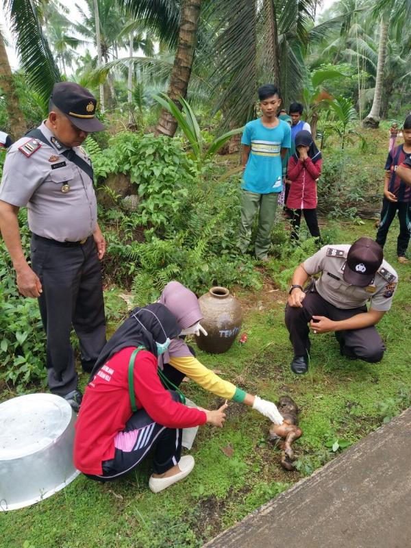 Masyarakat di gaung di hebohkan penemuan mayat bayi telah membusuk