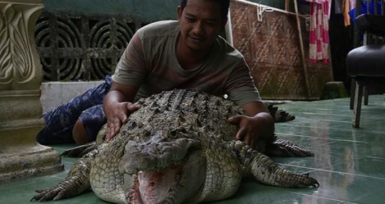 Pria ini sudah 20 tahun tinggal dengan buaya