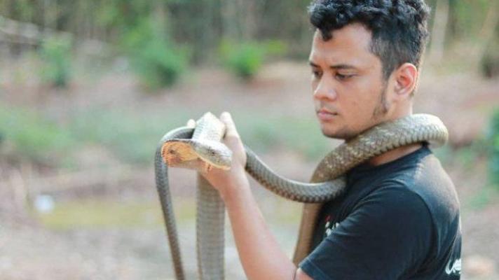 Panji Petualang Tanggapi Ular King Cobra di Kapuas yang Tak Bergerak Selama 4 Tahun