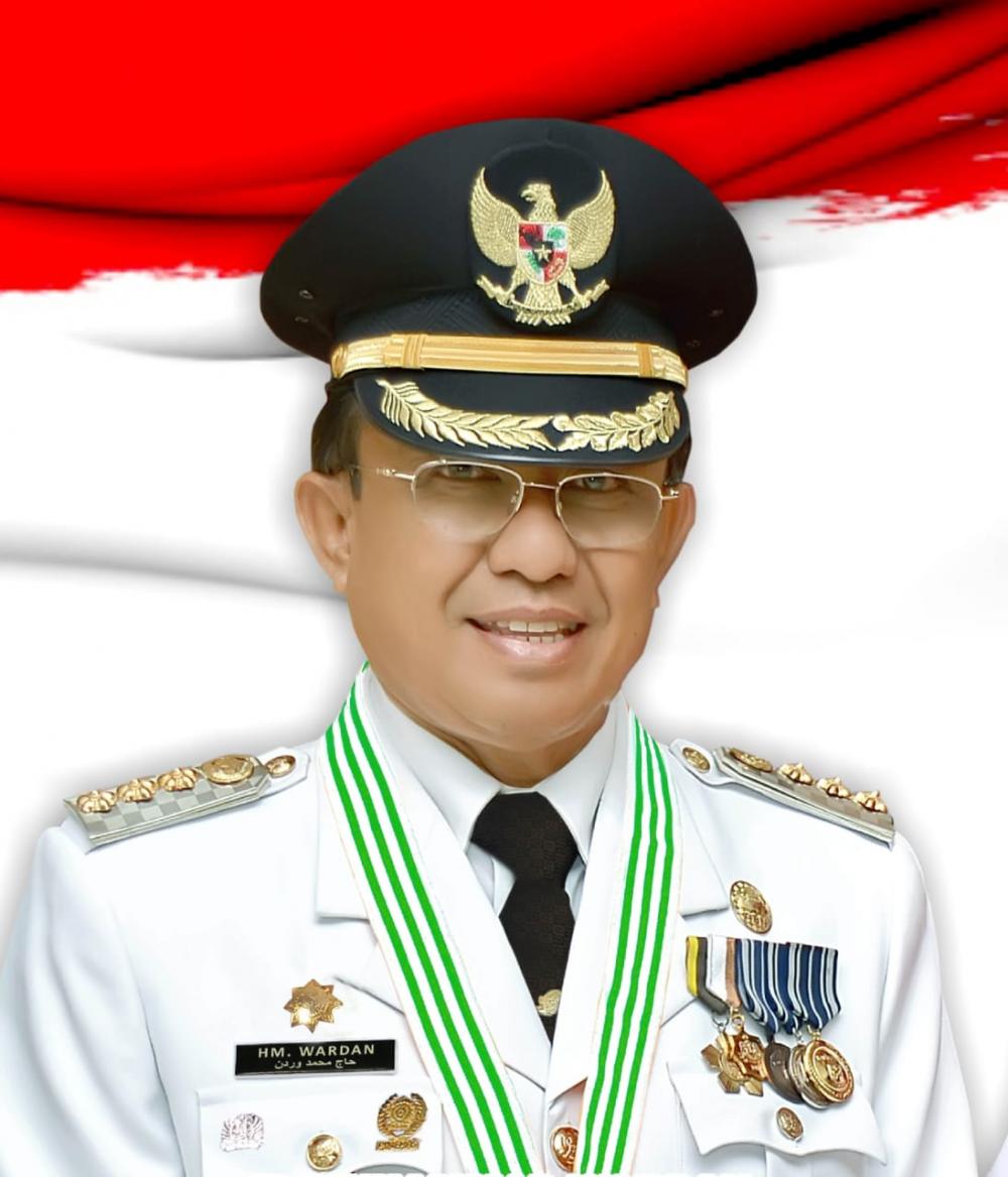 Bupati Indragiri Hilir HM Wardan