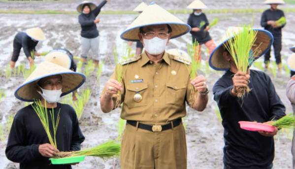 Bupati HM. Wardan: Pemkab Inhil Siap Menyukseskan Program Ketahanan Pangan 1000 Hektar