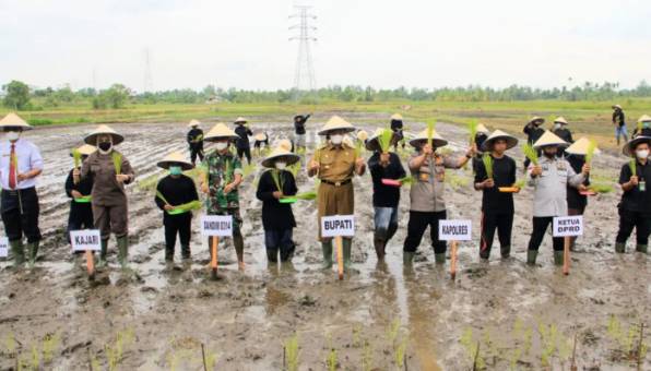 Bupati HM. Wardan: Pemkab Inhil Siap Menyukseskan Program Ketahanan Pangan 1000 Hektar