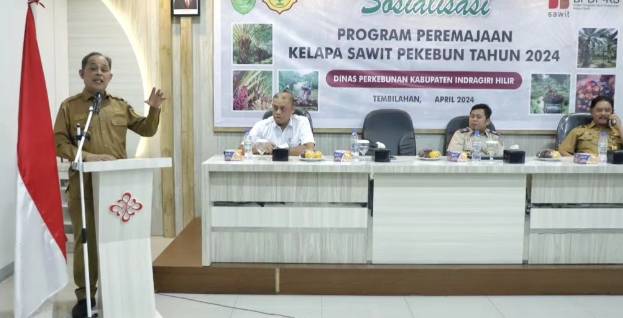 Pj Bupati Inhil H Herman Buka Program Peremajaan Kelapa Sawit Pekebun (PKSP) Tahun 2024