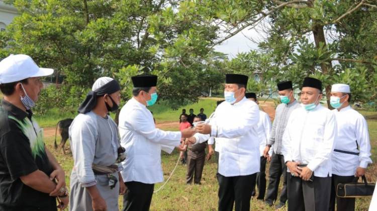 Meski Ditengah Pandemi Jumlah Hewan Qurban di Rohul Meningkat 2.758 Ekor