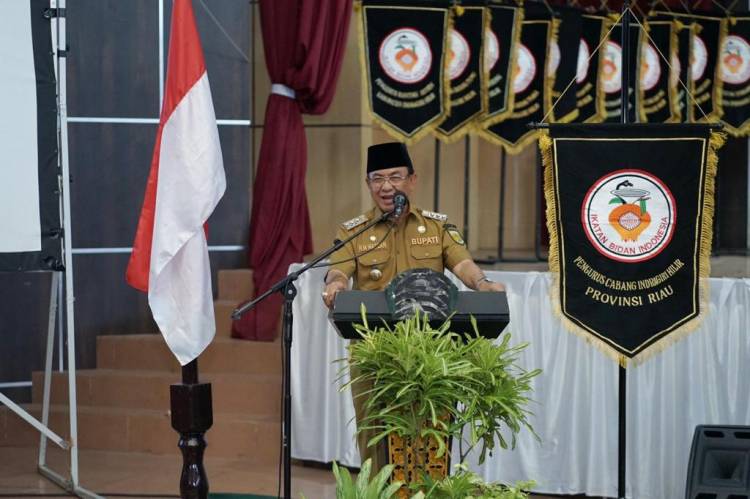 Hadiri HUT IBI ke-71, Bupati Berharap IBI Lebih Berperan dalam Menekan Angka Stunting di Inhil