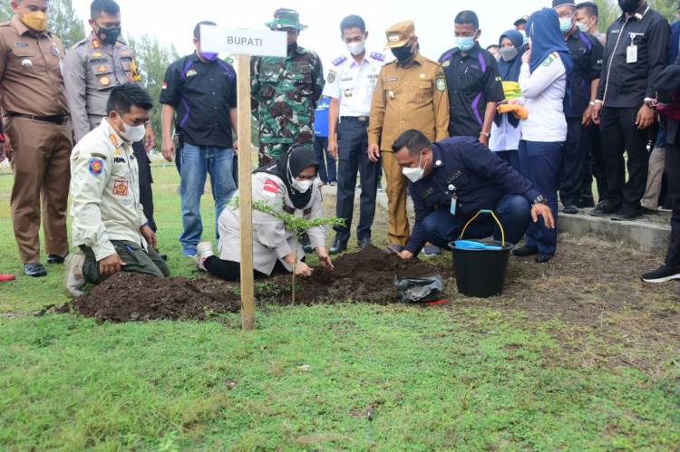 Bupati Bengkalis Kasmarni Tanam Pohon Penghijauan di Pelabuhan BSSR