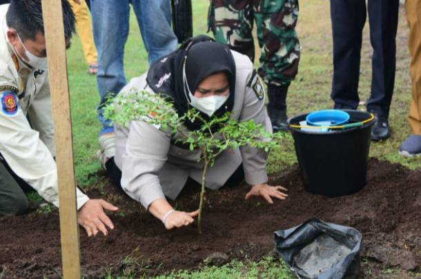 Bupati Bengkalis Kasmarni Tanam Pohon Penghijauan di Pelabuhan BSSR