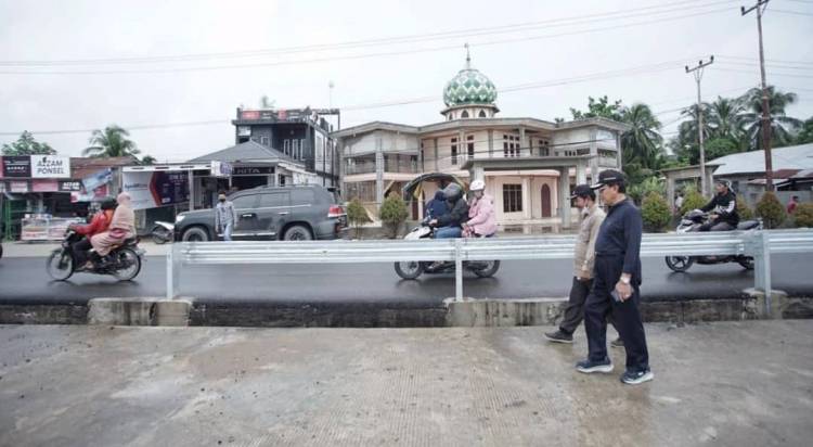Tinjau Ruas Jalan , Bupati Inhil HM.Wardan Inginkan Pekerjaan Tidak Asal-asalan.