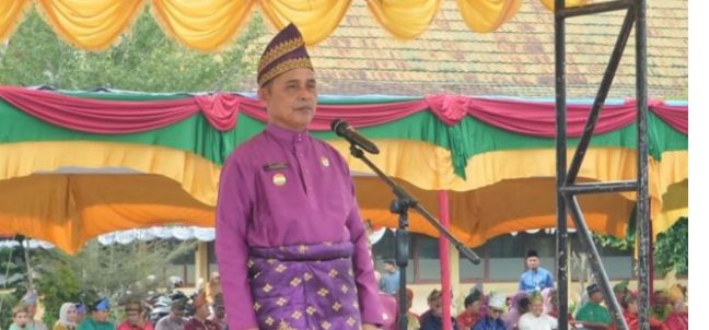 Pj Bupati Indragiri Hilir Herman Kadi Insektur Upacara Milad Riau Ke 67