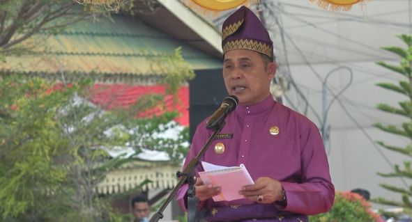 Pj Bupati Indragiri Hilir Herman Kadi Insektur Upacara Milad Riau Ke 67
