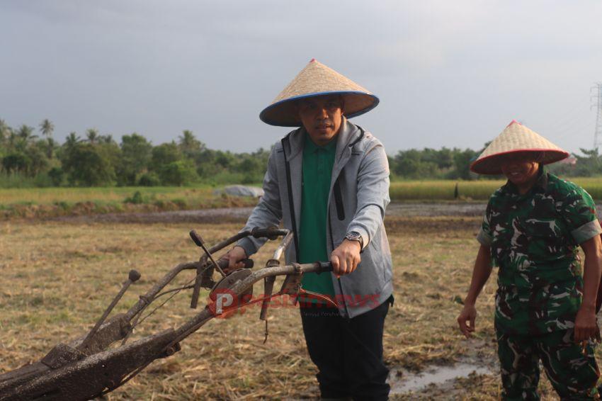 Untuk Mewujudkan Swasembada Pangan, Pj. Bupati Indragiri Hilir Tanam dan Panen Padi Bibit Unggul Lokal
