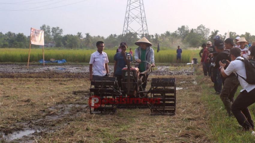 Untuk Mewujudkan Swasembada Pangan, Pj. Bupati Indragiri Hilir Tanam dan Panen Padi Bibit Unggul Lokal