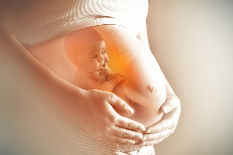 Dinkes Inhil Serukan Pelayanan Kesehatan Bagi Ibu Hamil