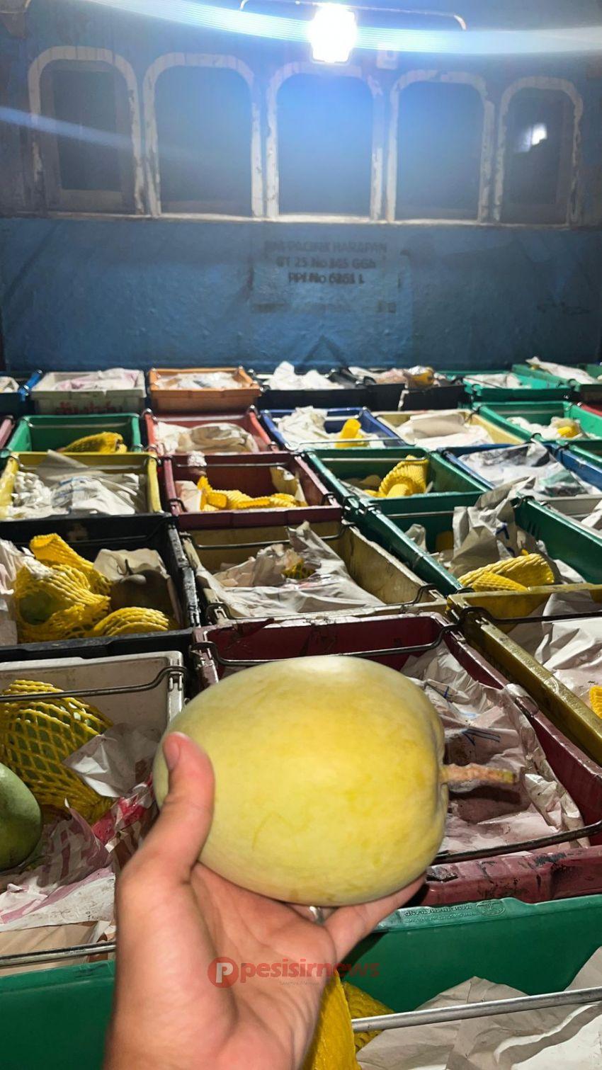 Bea Cukai Tembilahan Gagalkan Penyelundupan 15 Ton Mangga Ilegal ke Indragiri Hilir