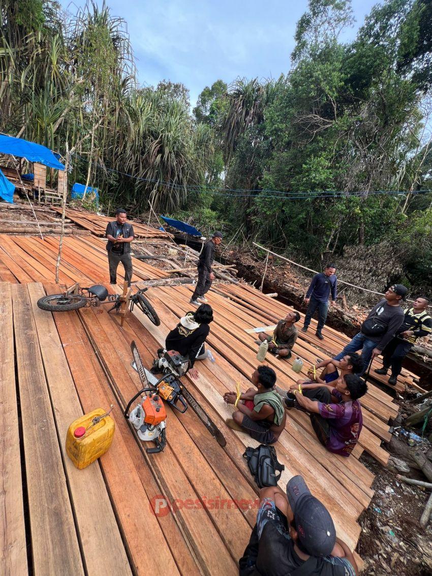 Enam Pelaku Illegal Logging Ditangkap di Kawasan Hutan Konsesi PT. SPA, Polres Inhil Resmi Tetapkan Tersangka