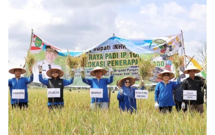 Bupati Inhil Herman dan Ketua TP PKK Hadiri Panen Raya Padi Perdana Tanam Jenis IP