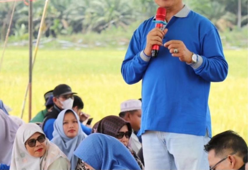 Bupati Inhil Herman dan Ketua TP PKK Hadiri Panen Raya Padi Perdana Tanam Jenis IP