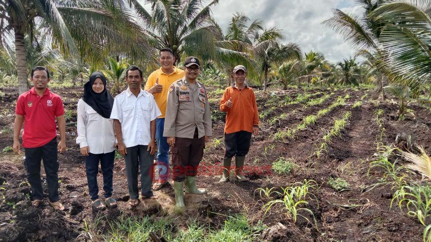 Polsek Pelangiran Bersama Masyarakat Perkuat Ketahanan Pangan di Desa Hidayah