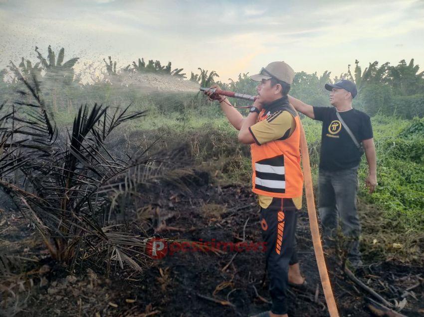 TRC BPBD Inhil Taklukkan Dua Titik Karhutla Di inhil
