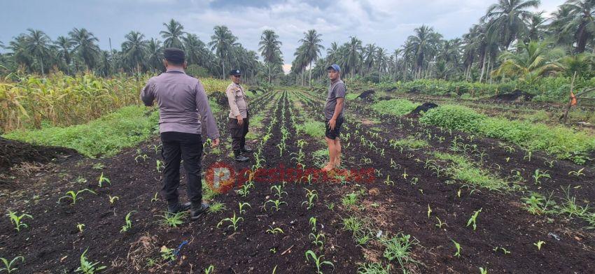 Ekonomi Warga Ikut Tumbuh! Ini Langkah Kapolsek Pelangiran